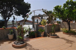 Das terrasssierte Grundst�ck ist mit tropischen B�schen bepflanzt